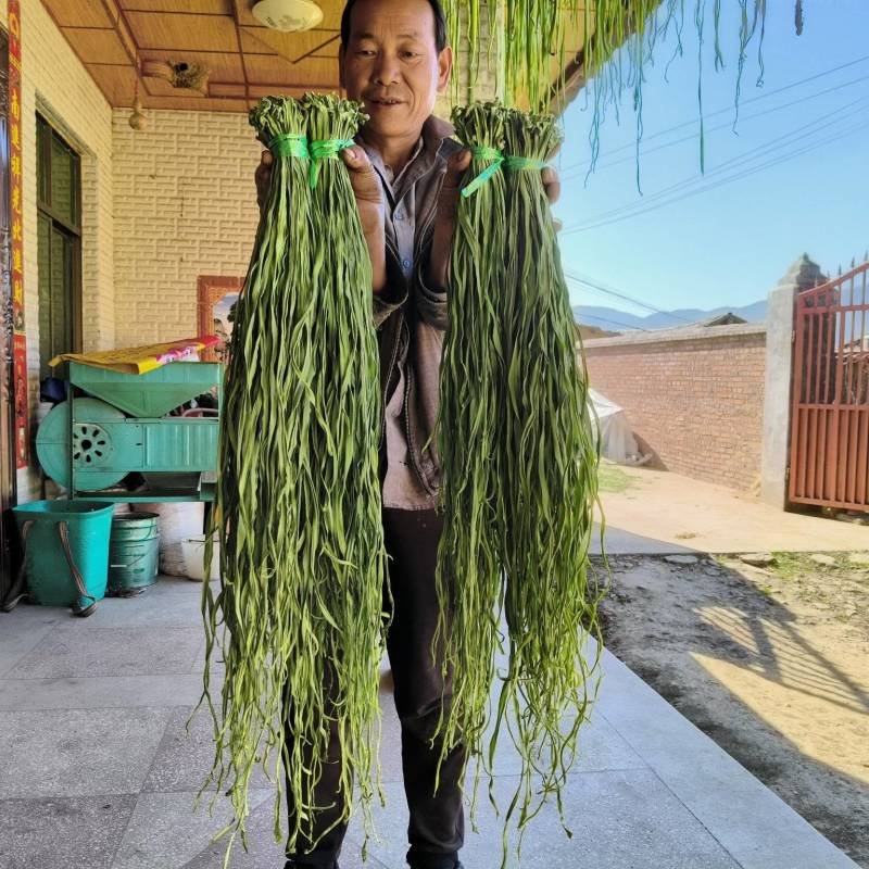 云南高山贡菜干