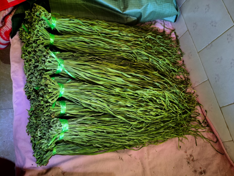 云南高山贡菜干