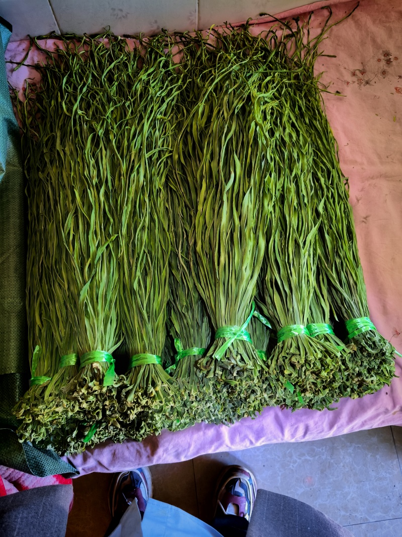 云南高山贡菜干