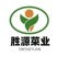 山东曹县叶菜产地品质黑叶白，一手货源，质量保证