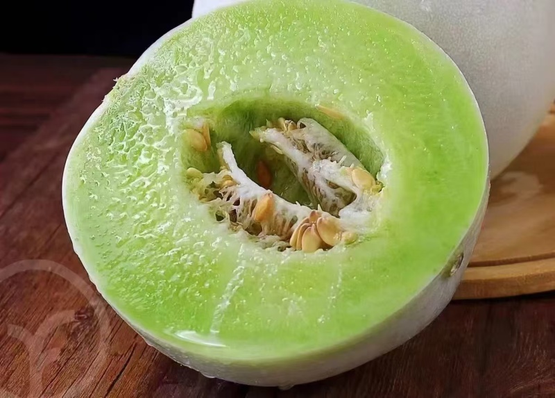 【玉菇甜瓜】冰淇凌甜瓜皮薄多汁大量供应产地直发对接全国客