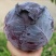 [推荐]陕西三原县紫甘蓝全国发货可视频看货，对接超市等