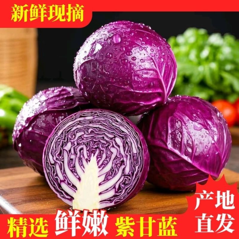 [推荐]陕西三原县紫甘蓝全国发货可视频看货，对接超市等