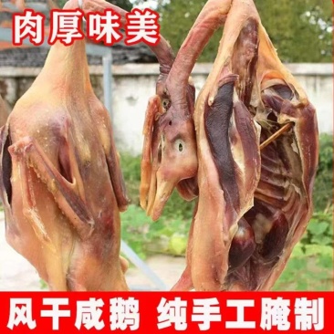 农家散养咸鹅腊鹅（带翅膀爪子）量大质优可视频看货欢迎咨询