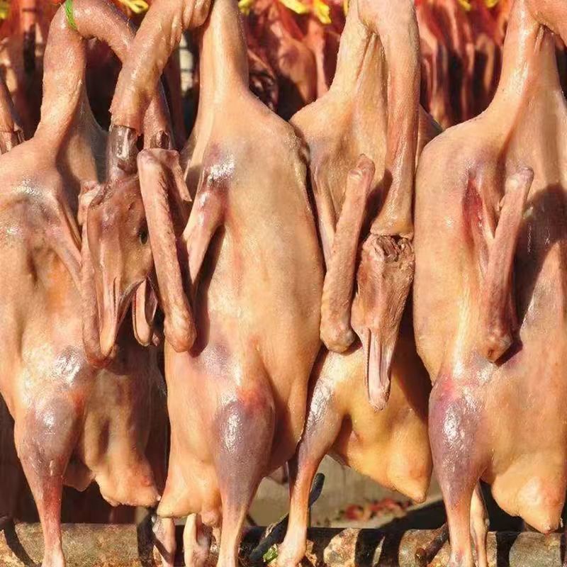 农家散养咸鹅腊鹅（带翅膀爪子）量大质优可视频看货欢迎咨询