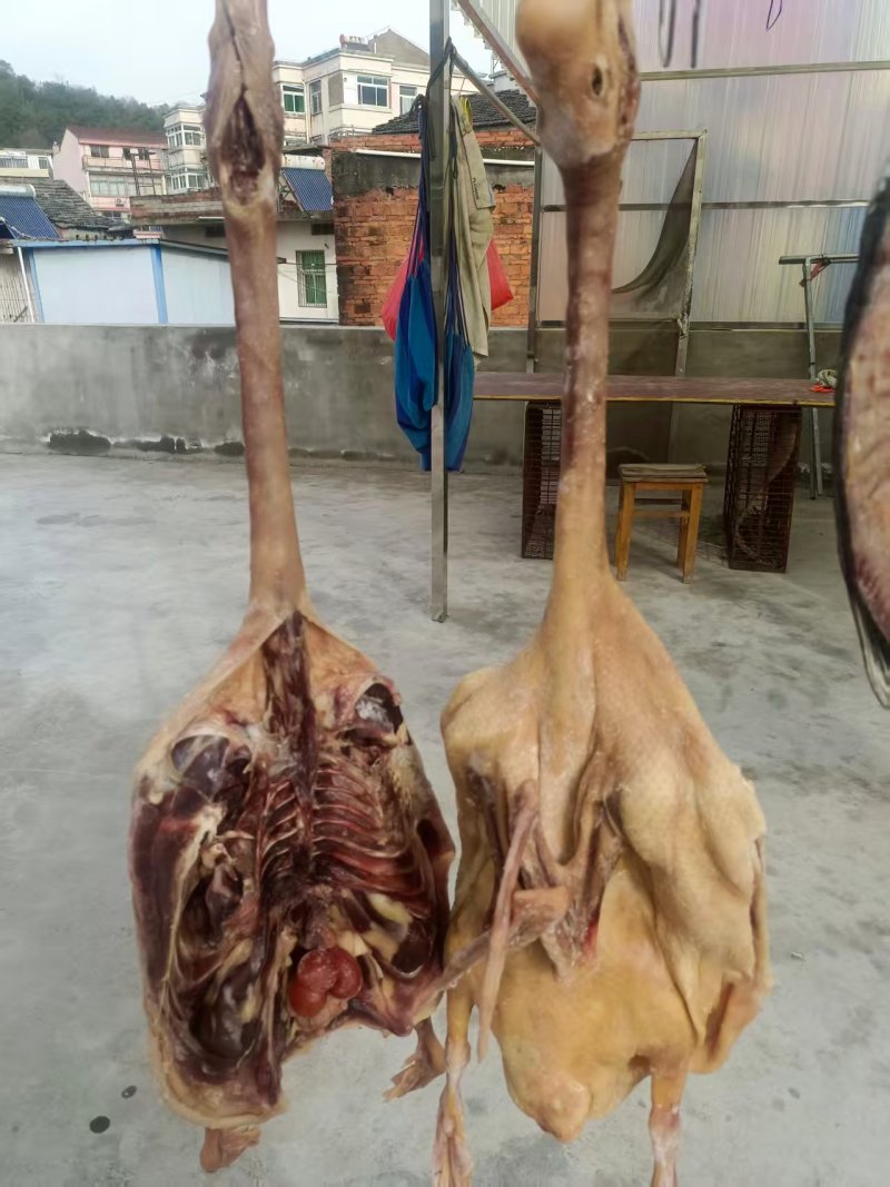 农家散养咸鹅腊鹅（带翅膀爪子）量大质优可视频看货欢迎咨询
