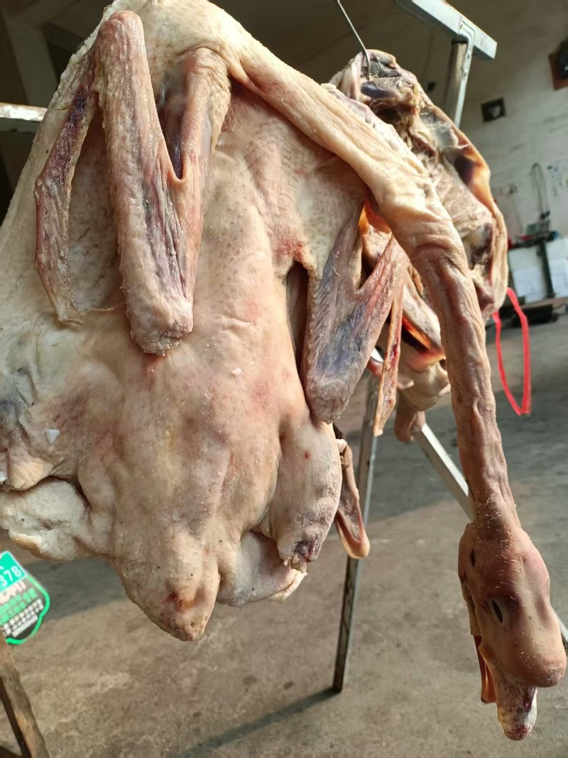 农家散养咸鹅腊鹅（带翅膀爪子）量大质优可视频看货欢迎咨询