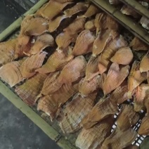 楠竹笋笋干