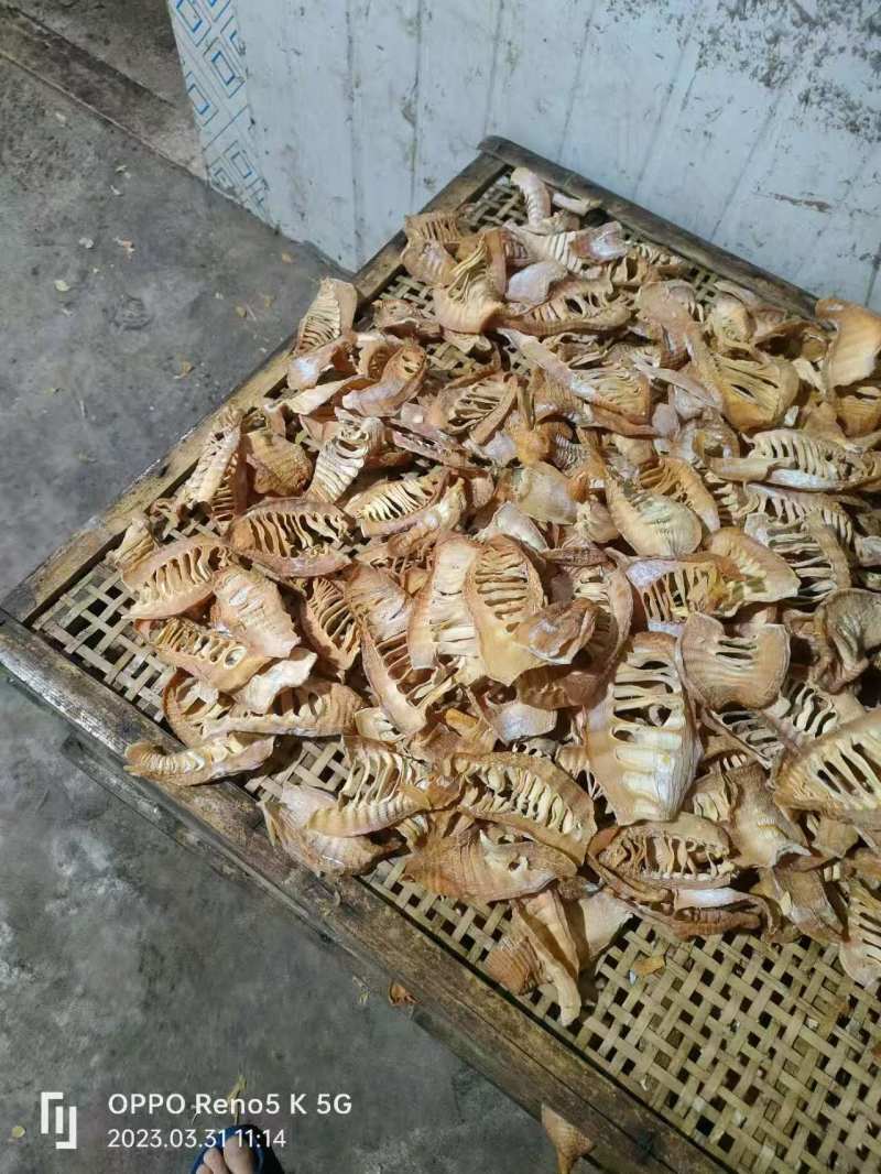 楠竹笋笋干