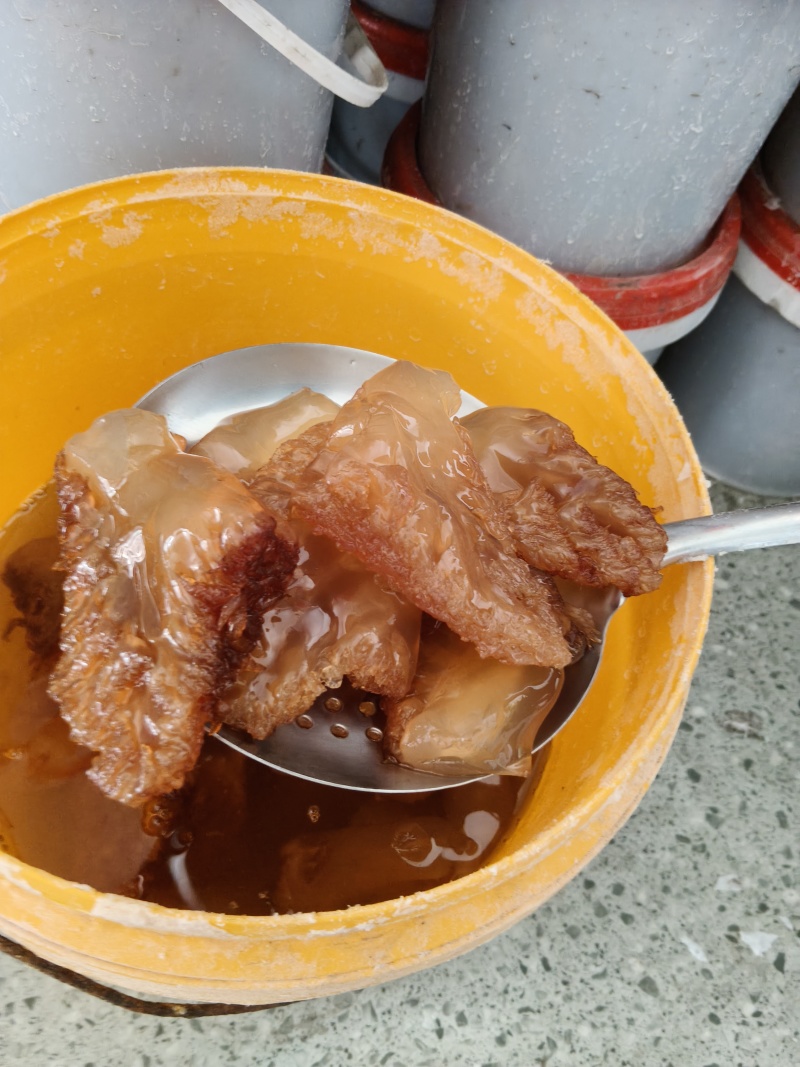 精品海蜇头脆爽可口视频看货全国发货常年供应