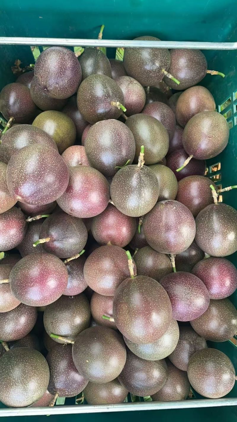 蜜桃百香果