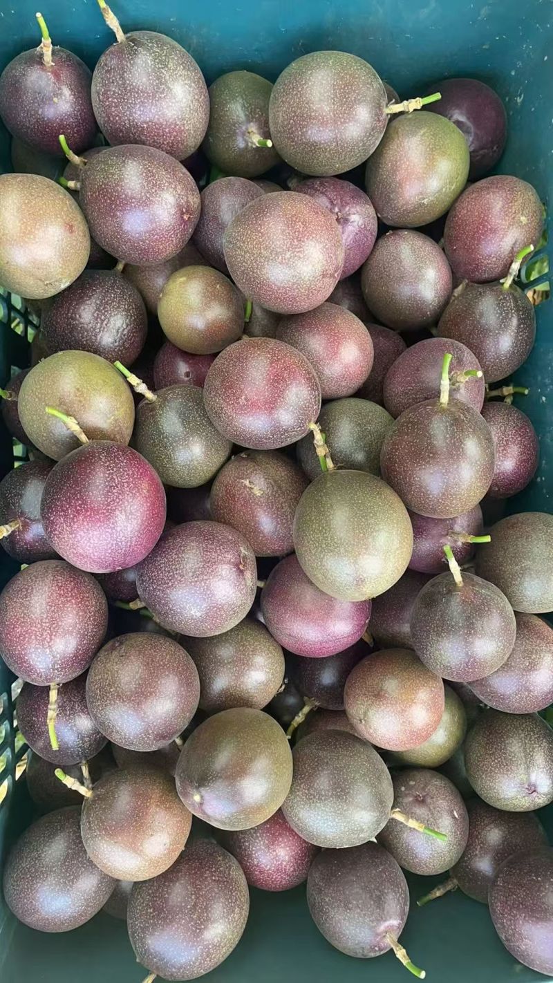 蜜桃百香果