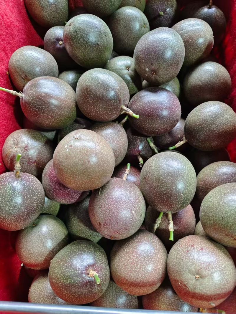 蜜桃百香果