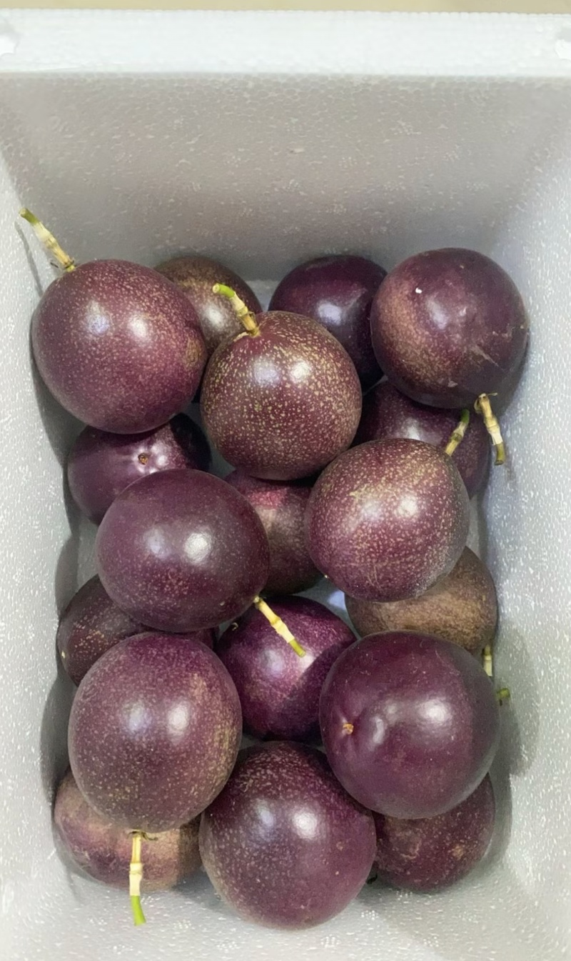 金都3号蜜桃百香果