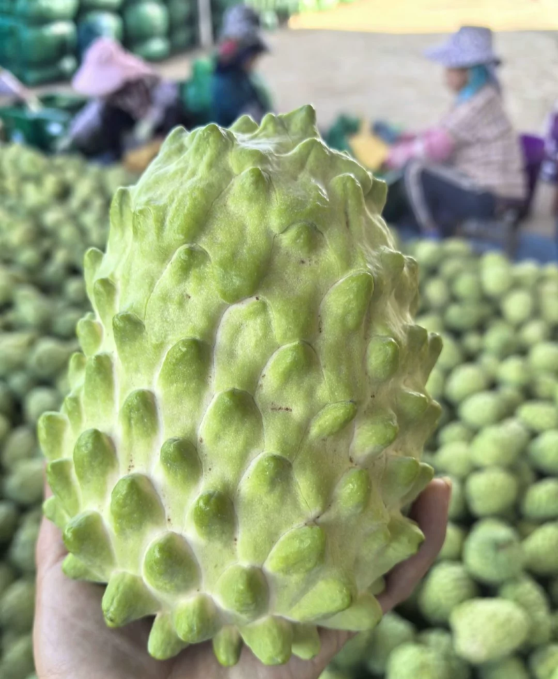 释迦果