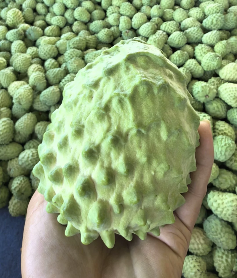 释迦果