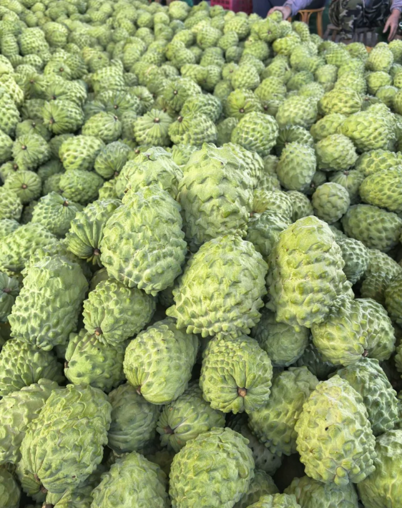 释迦果