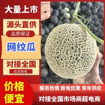 【精选】海南直供饱满果肉脆甜香汁，保质保量，欢迎来电详谈