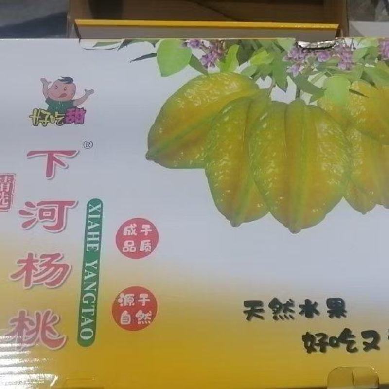 红龙杨桃礼盒装
