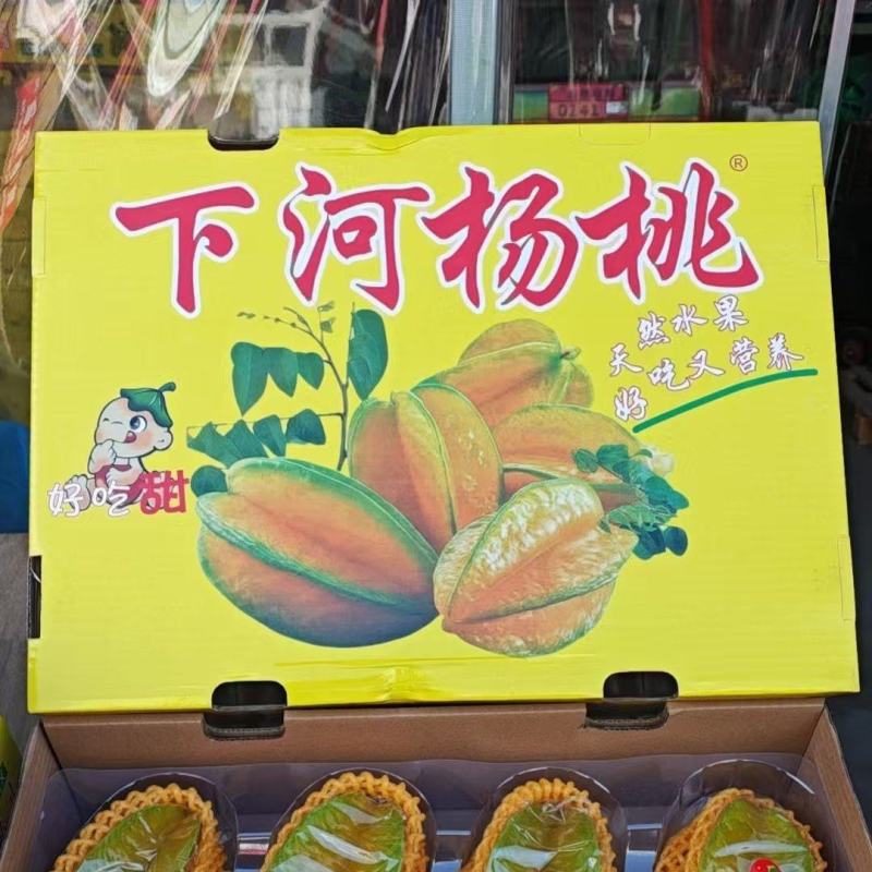 红龙杨桃礼盒装