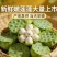 新鲜水果莲蓬海南嫩莲蓬基地大量供应发货全国各地