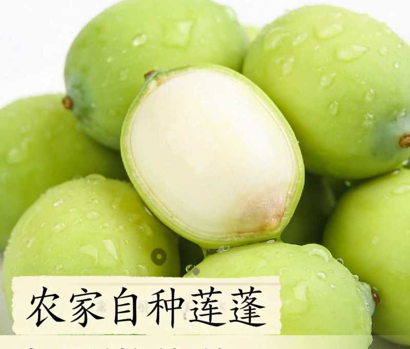 新鲜水果莲蓬海南嫩莲蓬基地大量供应发货全国各地