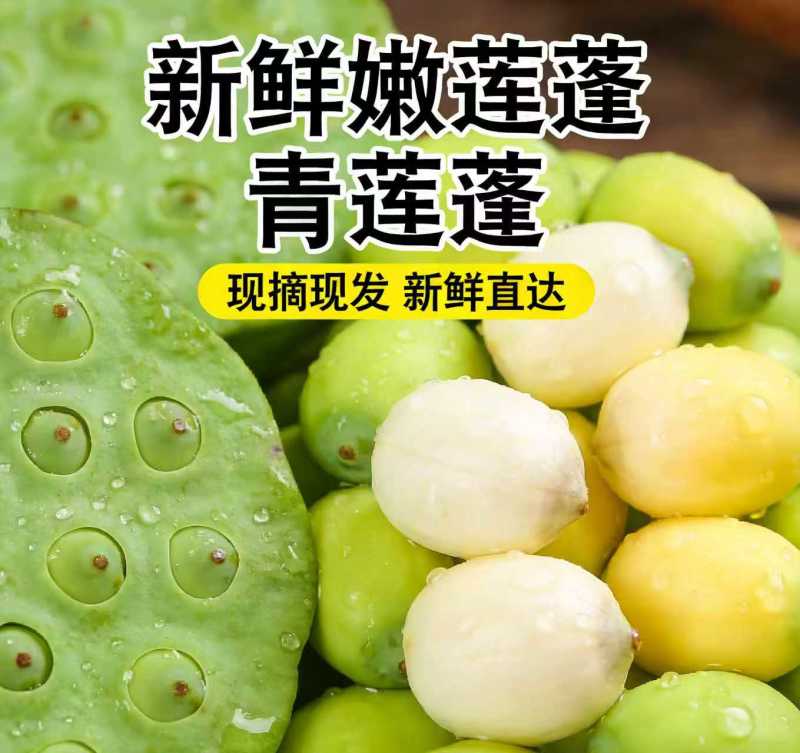 新鲜水果莲蓬海南嫩莲蓬基地大量供应发货全国各地