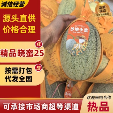 【热卖】海南精品晓蜜25号哈密瓜包熟包甜产地直发对接市场