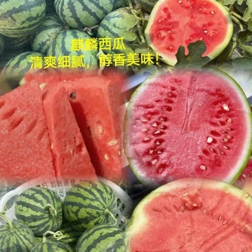 河北精品麒麟西瓜产地直发量大从优/诚信经营欢迎联系