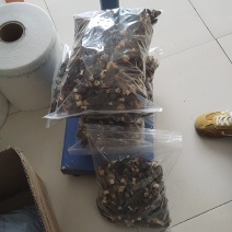 羊肚菌