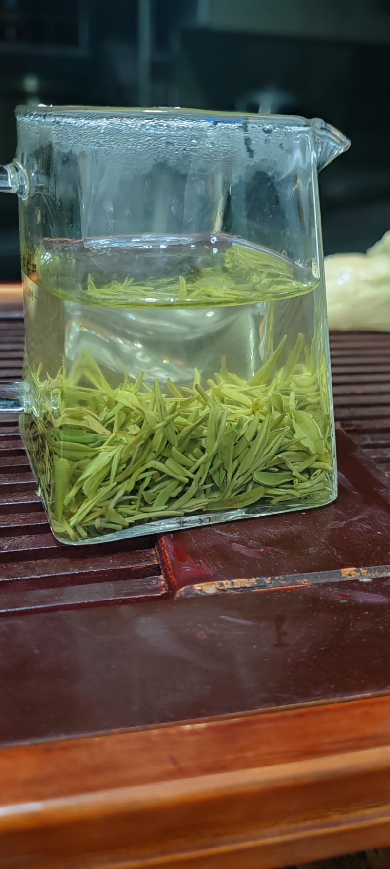 古丈毛尖头采茶