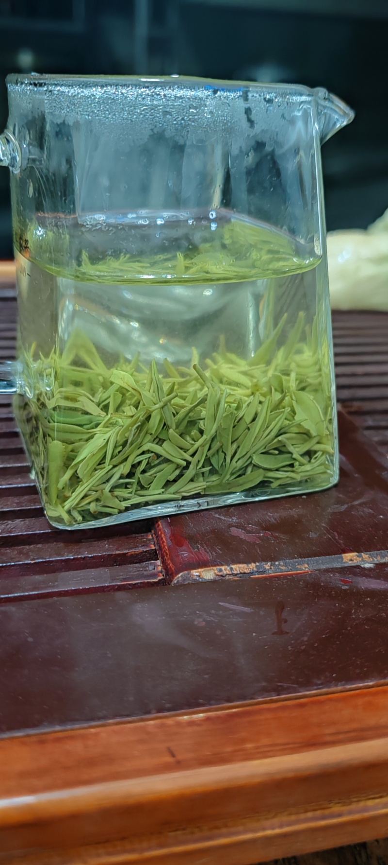 古丈毛尖头采茶