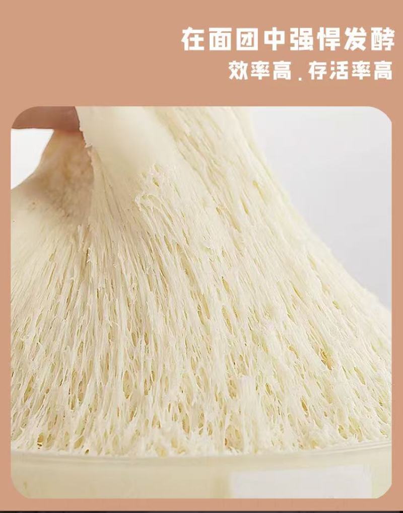 酵母粉产地直供，可供商超，电商，餐饮酒店，量大从优欢迎采购