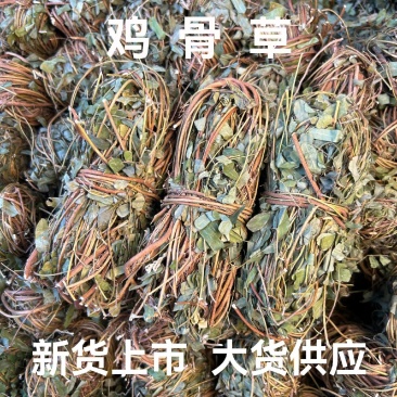 [鸡骨草]带叶鸡骨草各种中规格鸡骨草一手货源量大从优