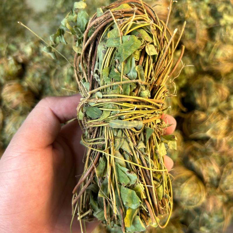 [鸡骨草]带叶鸡骨草各种中规格鸡骨草一手货源量大从优