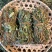 [鸡骨草]带叶鸡骨草各种中规格鸡骨草一手货源量大从优
