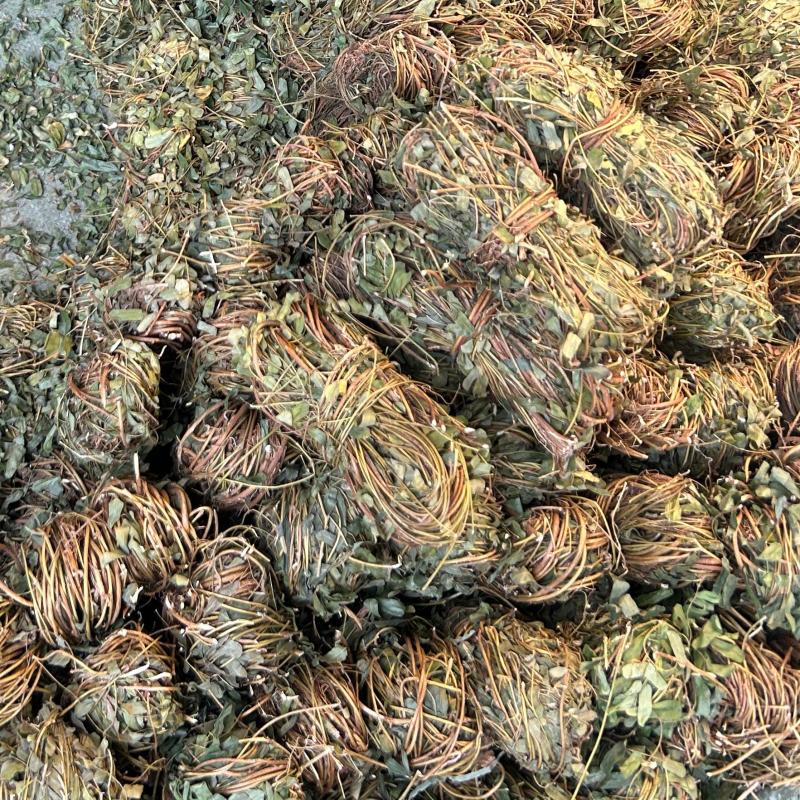 [鸡骨草]带叶鸡骨草各种中规格鸡骨草一手货源量大从优