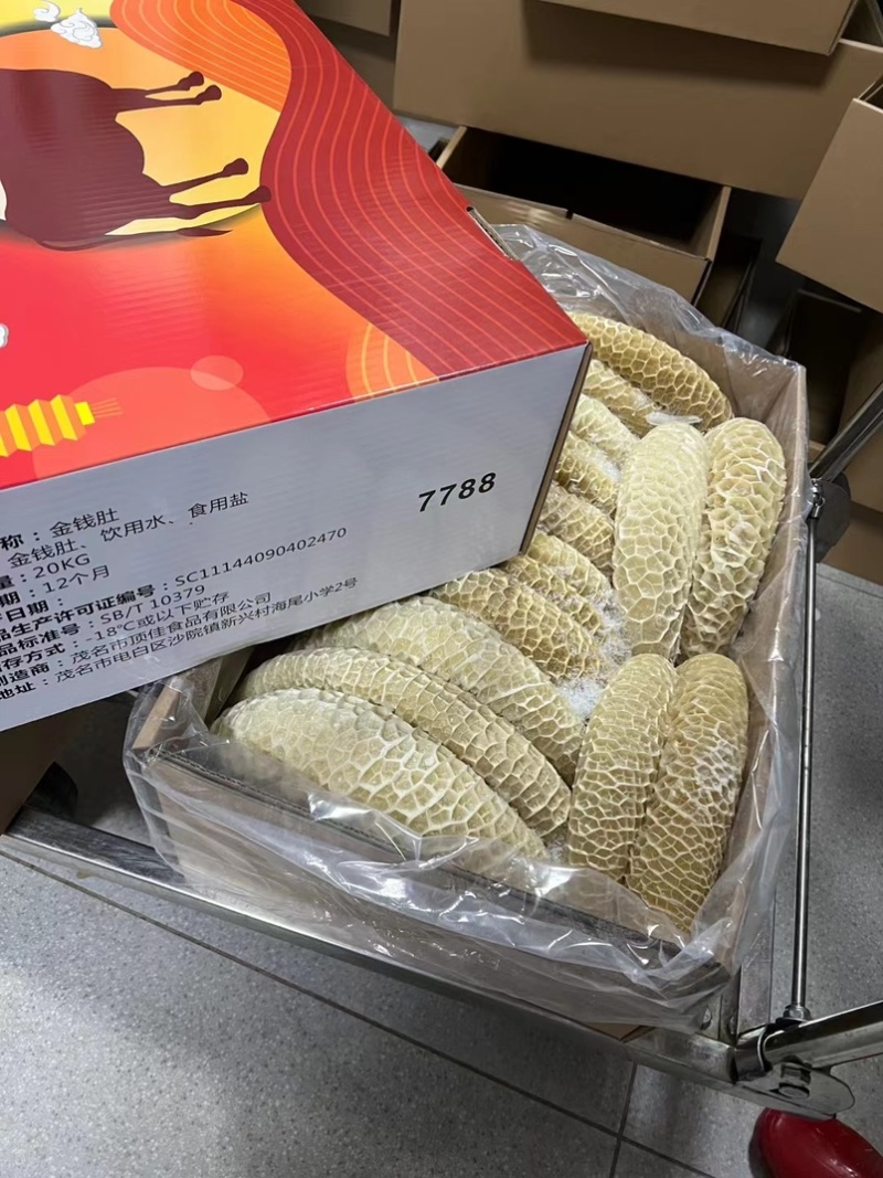 国产金钱肚8成熟精修无油解冻9成左右