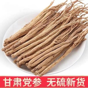 [党参]甘肃岷县特级党参条农家自采补气食材整根批发
