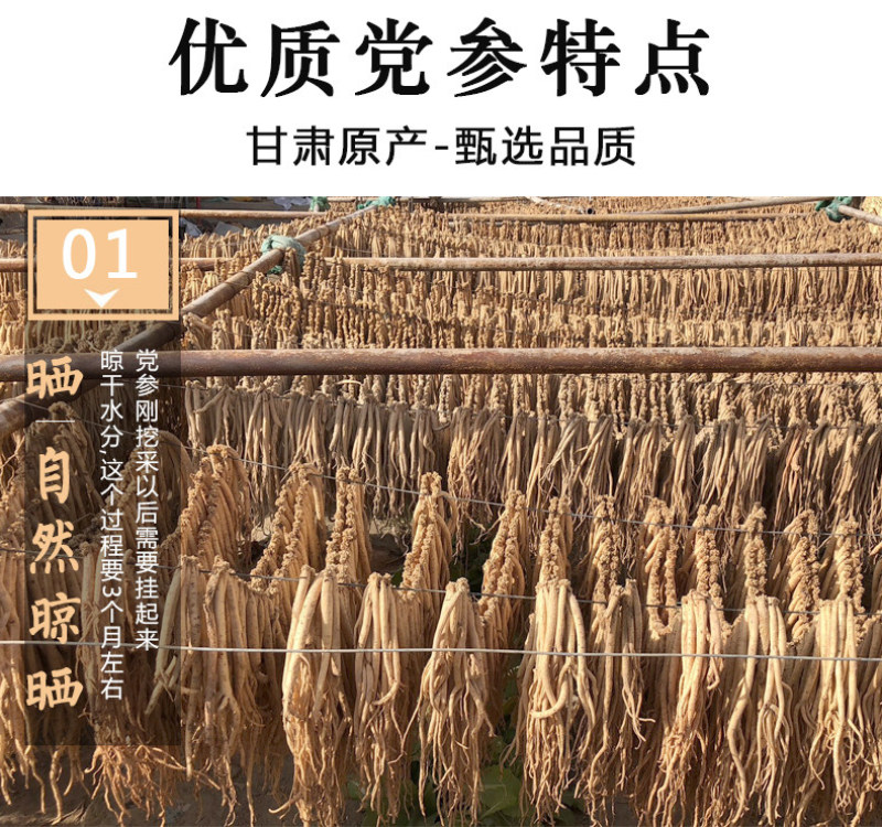 [党参]甘肃岷县特级党参条农家自采补气食材整根批发