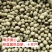 青皮豆子十月产新精品可做豆腐打豆浆一件50斤产地发货