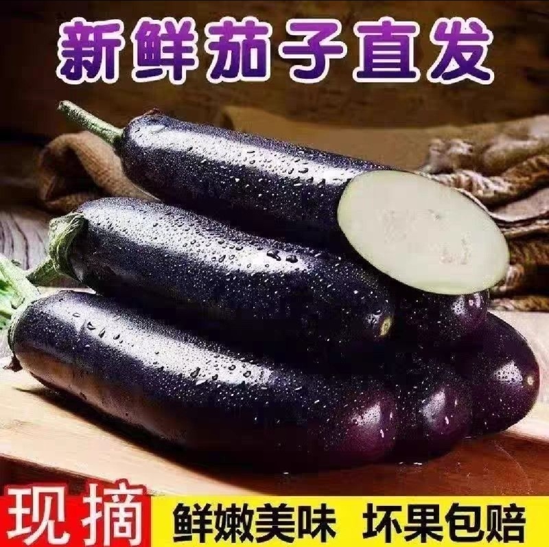 【平台力推】产地直发【保质保量】质量保证【诚实守信】绿茄