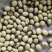 青皮豆子十月产新精品可做豆腐打豆浆一件50斤产地发货