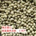 青皮豆子十月产新精品可做豆腐打豆浆一件50斤产地发货