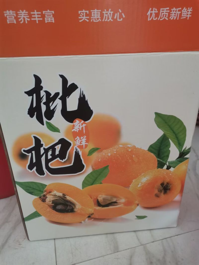 云南永善金沙江畔大五星精品枇杷果