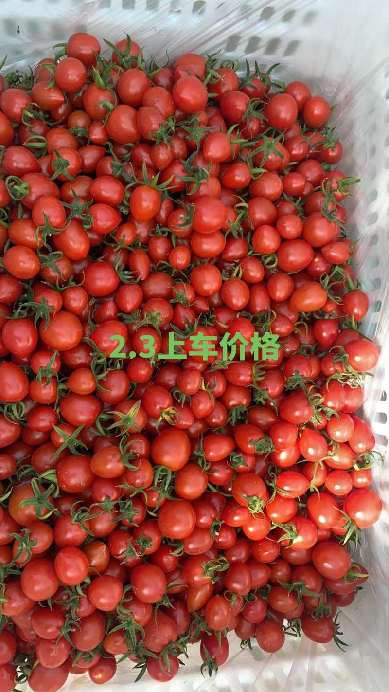 口感西红柿。