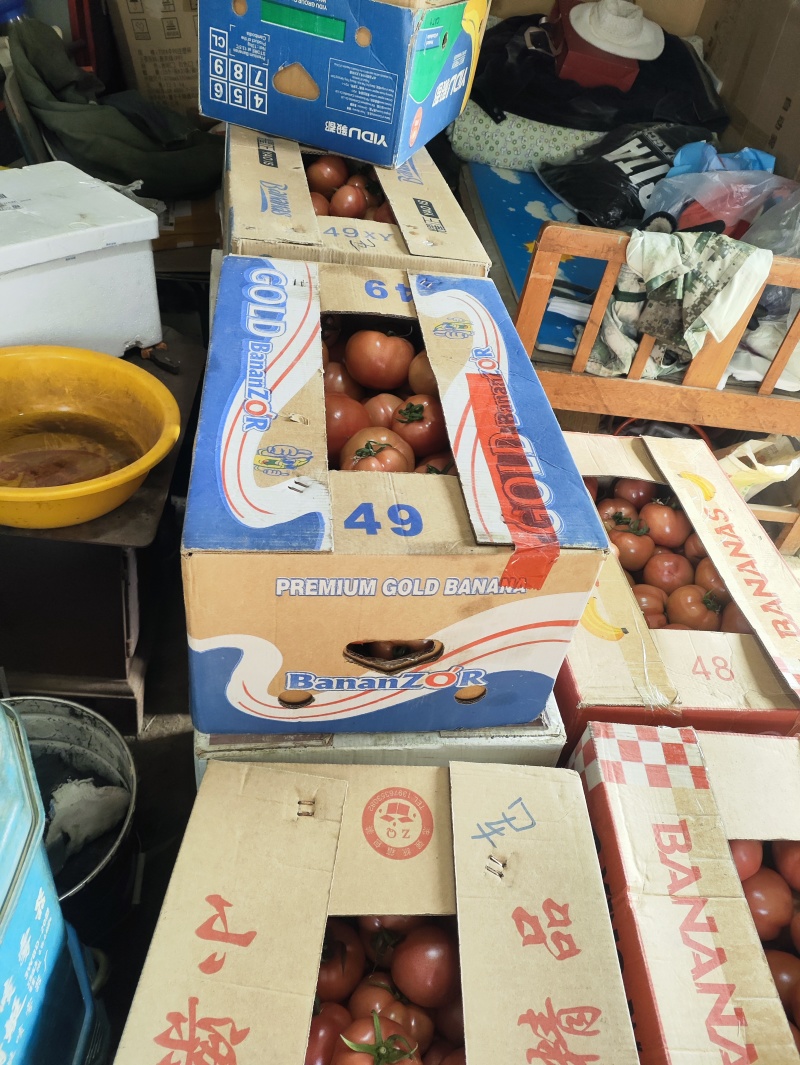 精品普罗旺斯，特别甜的西红柿，9个糖。