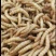 黄粉虫种虫