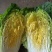 黄心白菜