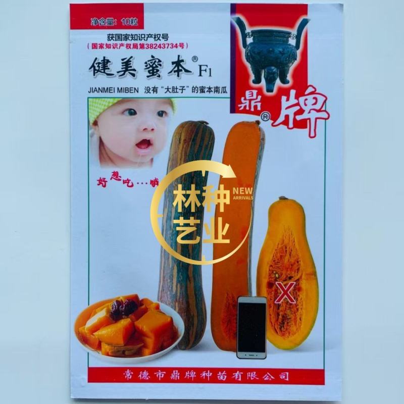 健美蜜本南瓜种子鼎牌超甜粉面蜜本南瓜种子南瓜籽早熟